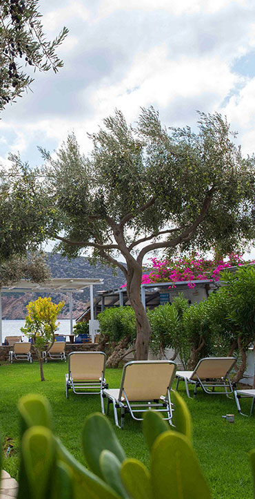 The yard of Agrilia studios in Sifnos