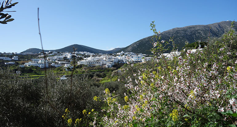 Byn Exabela i Sifnos