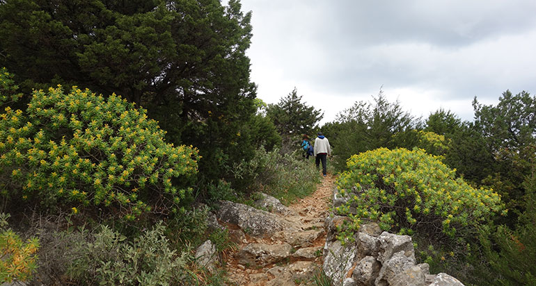 Un sentier à Sifnos